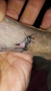 The bottle says only 10 days.