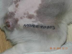 428456_4928128409080_27784728_n